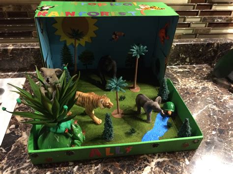 Allys Tropical Rainforest Biome Project For School Biomes Project
