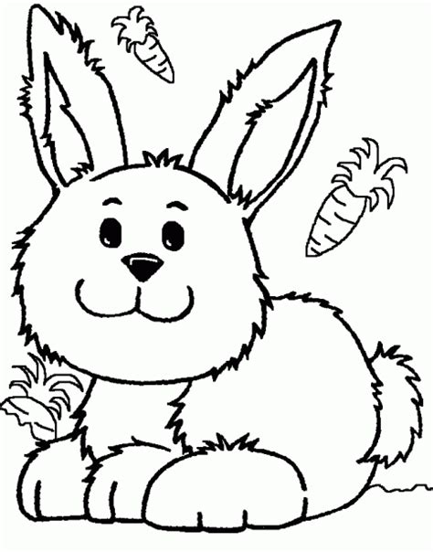 Fichas de animales para pintar: Conejos de granja | Colorear y Pintar