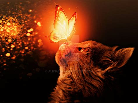 Glowing Cat By Aliciacora On Deviantart