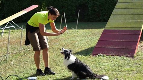 Wer einen hund möchte aber kein haus mit garten hat stellt sich zu allererst die frage: Hunde Training im Garten Sept 2016 - YouTube
