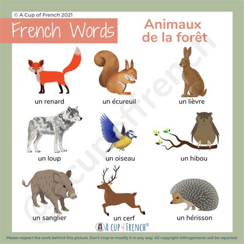 Word Animals In French