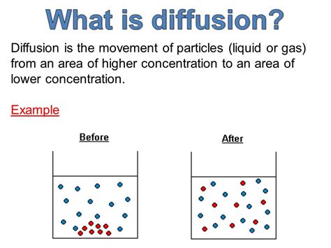 Ncert Class 9 Science Solution Chapter 1 Matter In Our Surroundings