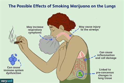 Veroorzaakt Het Roken Van Marihuana Longkanker Med Nl