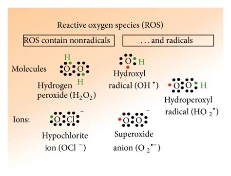 Reactive Oxygen Species Ros Existing In Radicals And Nonradicals