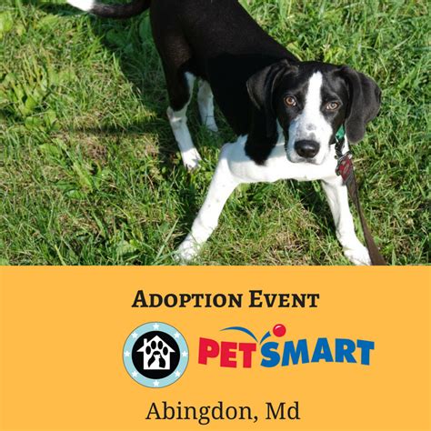Operation Paws For Homes Events