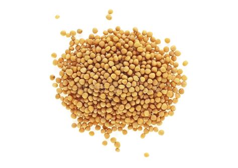 Yellow Mustard Seeds Isolated On White Background Top View Stock Photo