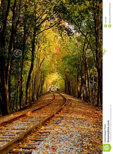 Autumn Railroad Stock Images Image 1421404