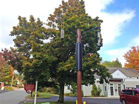 Many possible projects, including many using household materials. Bear Proof Bird Feeder Poles | Prevent Bears From Eating ...