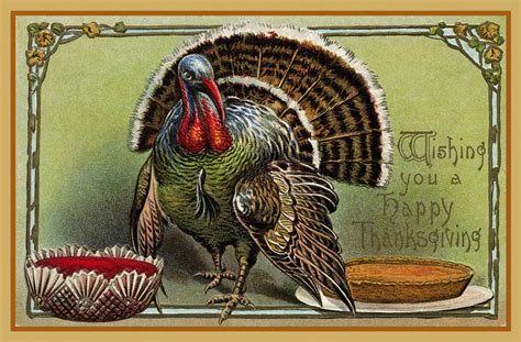 Thanksgiving Vintage Turkey Card Free Stock Photo Public Domain Pictures