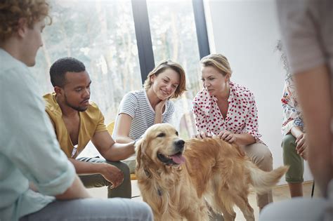 We did not find results for: How Animal-Assisted Therapy May Soothe Your Pain