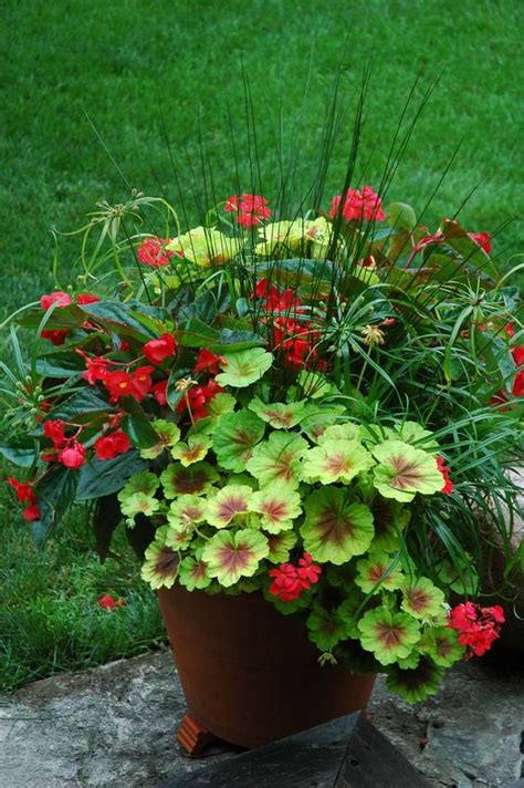 20 Stunning Container Garden Ideas That Will Take Your Breath