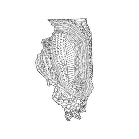 Illinois Illustrated State Map — Sarah Wormann Art Illustrated Map