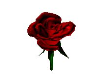 Animation Red Roses ClipArt Best