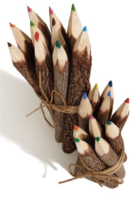 Pack Of Coloured Twig Pencils Wildwood Bude Cornwall