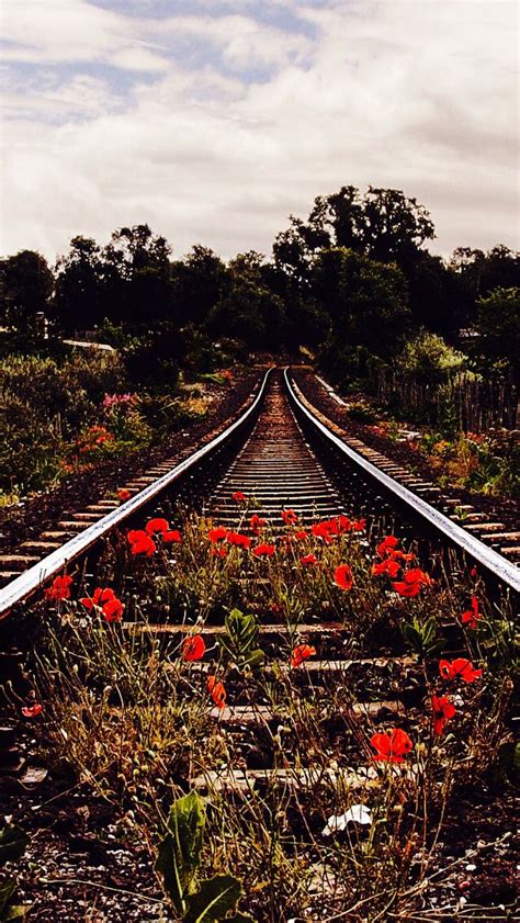 Abandoned Railroad Track Source Train Tracks Railroad