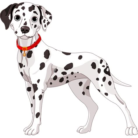 Dalmatian Png Images Free Png Library