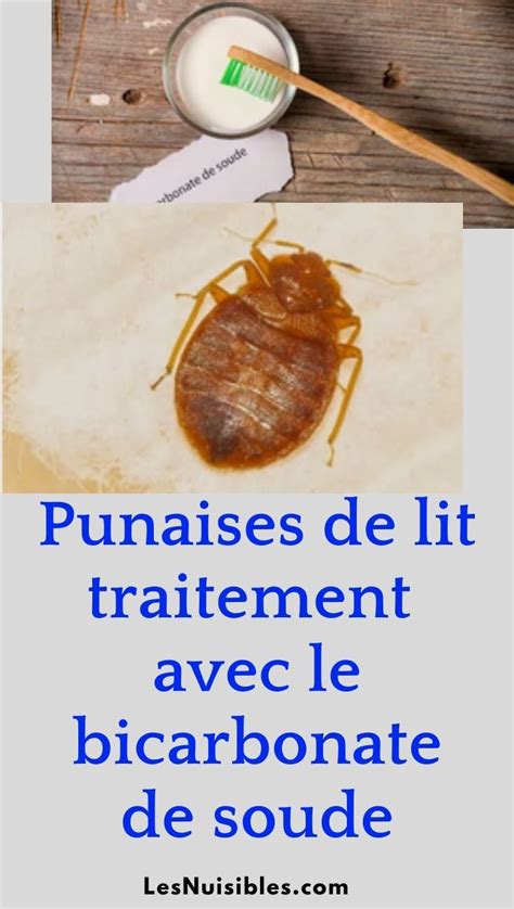 We did not find results for: punaises de lit traitement avec le bicarbonate de soude ...