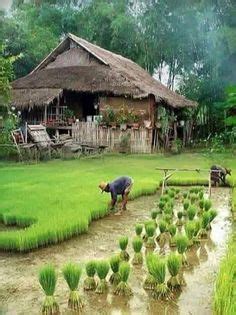 300+ Best Bahay Kubo images in 2020 | bahay kubo, house styles, bamboo house
