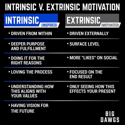 Extrinsic Vs Intrinsic Motivation Assessment Xxvvti
