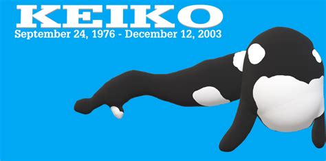 Keiko The Killer Whale From Free Willy By Mjegameandcomicfan89 On