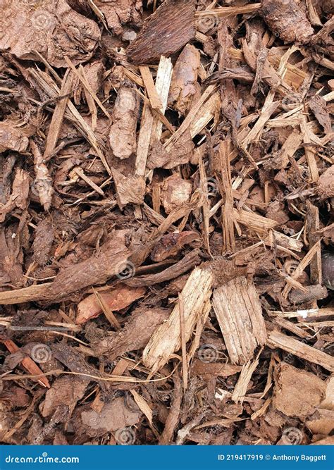 Wood Chip Bark Chippings Stock Image Image Of Conservation 219417919