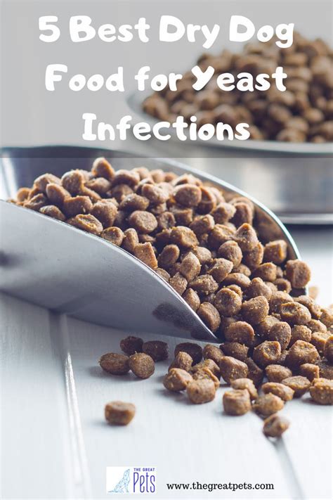5 Best Dry Dog Food For Yeast Infections In 2020 Best Dry Dog Food