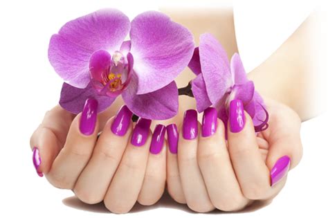 Nails Manicure Png Transparent Image Download Size 500x333px