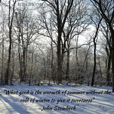 Appreciation Quote | Summer quotes, Appreciation quotes, Winter quotes