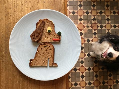 Truth about pet food 2018 list pdf. The Truth About Ketogenic Dog Food That Will Make Your Pet ...