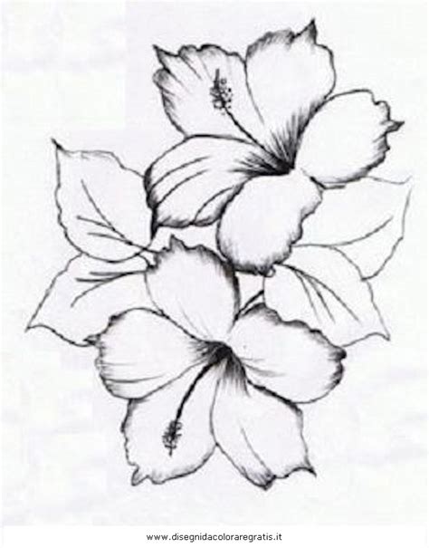 Disegno grande di un tatuaggio femminile sulla coscia di una ragazza, fiori e una rosa grandissima. Hibiscus Tattoo Drawing at GetDrawings | Free download
