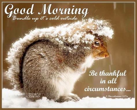 Good Morning Bundle Up Its Cold Out Pictures Photos And Images For