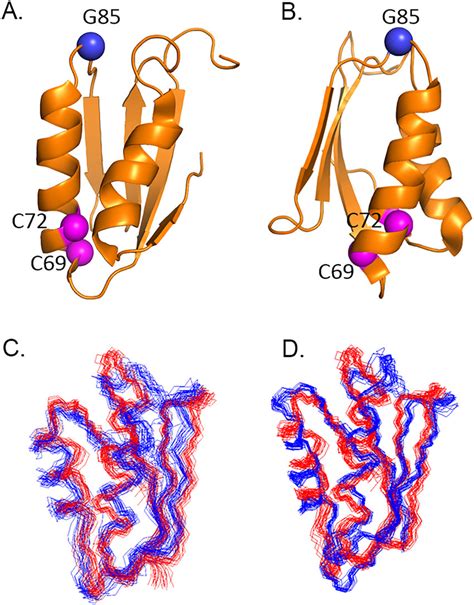 The Structure Of Mbd1 Of Atp7b Ab The Ribbon Diagram Of Mbd1