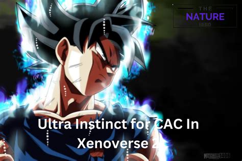 Xenoverse 2 Ultra Instinct For Your Custom Charactercac The Nature