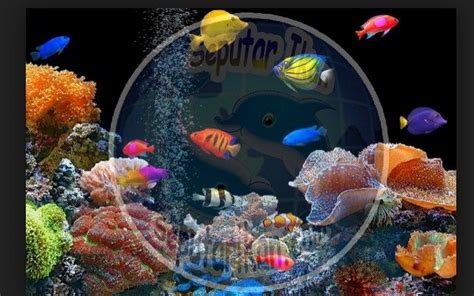Karena hal itulah ikan komet ini dapat dipelihara pada semua tempat dengan syarat tempat tersebut bersih dan juga sehat. Gambar Daftar Harga Ikan Hias Air Tawar Terlengkap ...