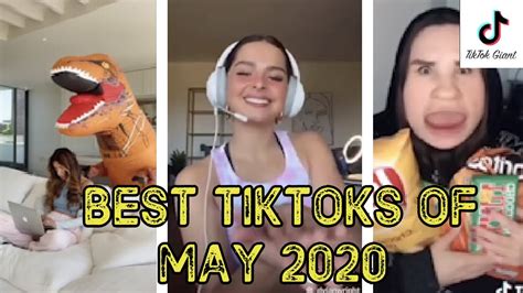 Funniest And Best Tik Toks Of May 2020 Youtube