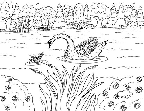 This is the seventh illustration for the 12 months of christmas calendar diy project based on the '12 days of christmas' song:seven swans a swimming.check. Robin's Great Coloring Pages: Swans coloring pages