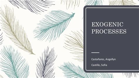Exogenic Processes