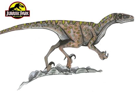 Image Jurassic Park Deinonychus By Hellraptor Park Pedia Jurassic Park Dinosaurs