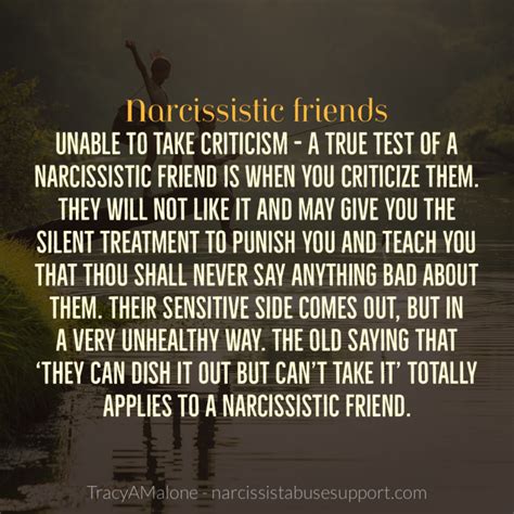 How Do You Deal With A Narcissistic Friend
