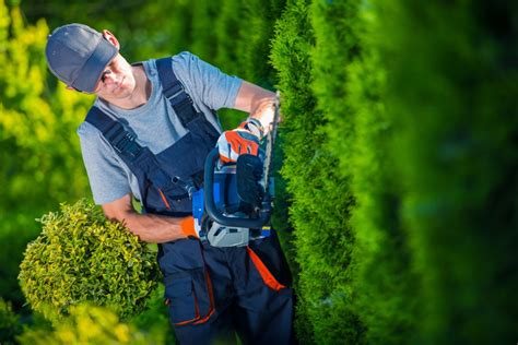 Hiring A Landscaping Professional 5 Key Questions To Ask To Canvas