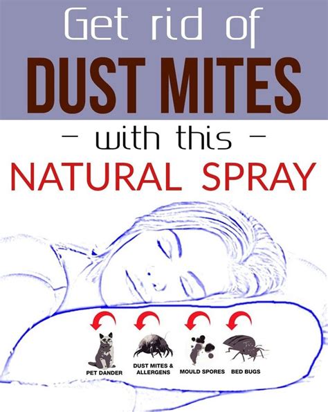 Get Rid Of Dust Mites With This Natural Spray