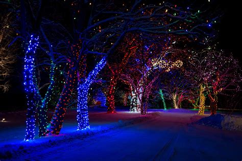Trees New Year Street Winter Snow Light Wallpaper 2048x1367 442647