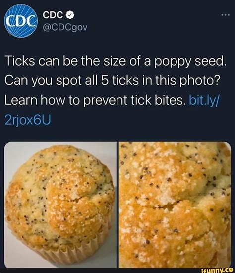 Cdc Ticks Can Be The Size Of A Poppy Seed Can You Spot All 5 Ticks In
