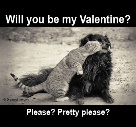 Will you be my valentine. Would you be my Valentine? - Meme Quotes