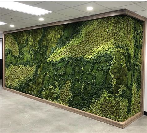 Moss Walls Interiorscape Network