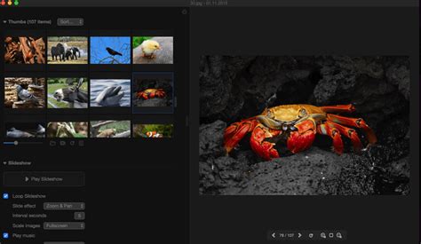 7 Best Photo And Image Viewers For Mac Os X As Of 2019 Free To Use