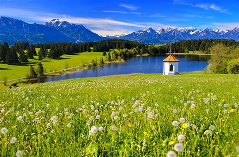 Landscape In Bavaria Hills Pretty Bavaria View Grass Wildflower