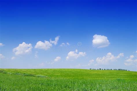 Idyll View Of Green Fields And Blue Sky With White Clouds Stock Photo