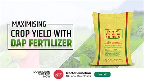Benefits Of Dap Fertilizer Does It Help With Crop Yield