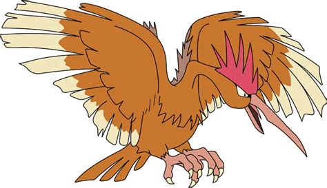 55 Fascinating Bird Pokemon For Bird Lovers Page 2 My Otaku World